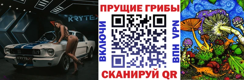 darknet формула  Бикин  Галлюциногенные грибы Psilocybe  даркнет сайт 